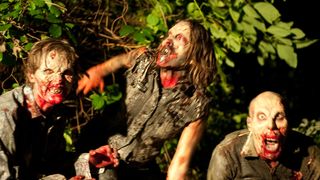 26. Земля вампиров (2010)