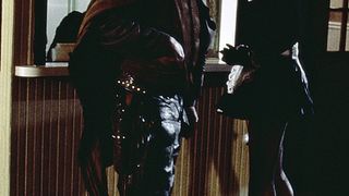 28. День сурка (1993)