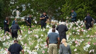 120. Экстрасенсы (2015)