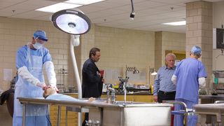 59. Экстрасенсы (2015)