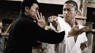 34. Ип Ман (2008)