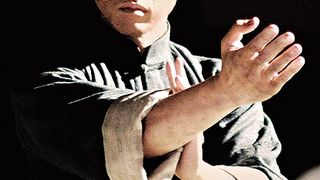 41. Ип Ман (2008)