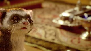 121. Золотой компас (2007)