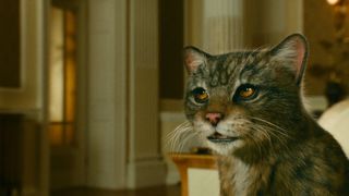 137. Золотой компас (2007)