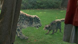 68. Золотой компас (2007)