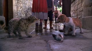 75. Золотой компас (2007)