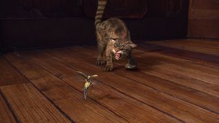 81. Золотой компас (2007)