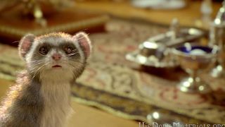 85. Золотой компас (2007)