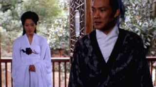 29. Бишунмо – летящий воин (2000)