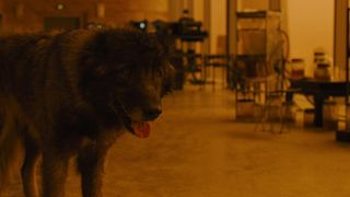 127. Бегущий по лезвию 2049 (2017)