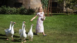 27. Золушка (2015)