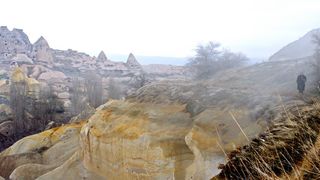 31. Зимняя спячка (2014)