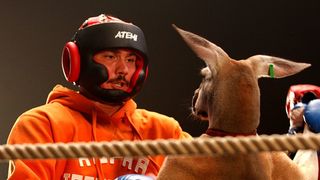 11. Бой с тенью 3D: Последний раунд (2011)