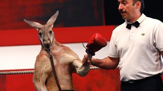 20. Бой с тенью 3D: Последний раунд (2011)