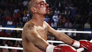 25. Бой с тенью 3D: Последний раунд (2011)