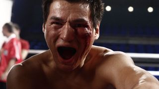 26. Бой с тенью 3D: Последний раунд (2011)