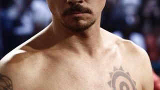 39. Бой с тенью 3D: Последний раунд (2011)