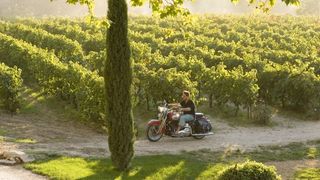 48. Хороший год (2006)