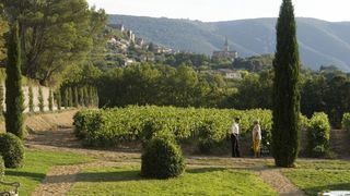 49. Хороший год (2006)