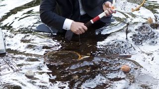 59. Хороший год (2006)