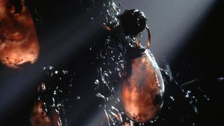 46. Матрица (1999)