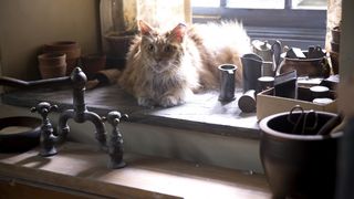 15. Голодные игры: Сойка-пересмешница. Часть II (2015)