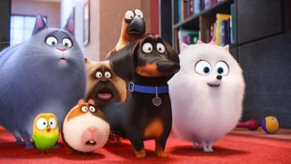 13. Тайная жизнь домашних животных (2016)