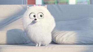 23. Тайная жизнь домашних животных (2016)