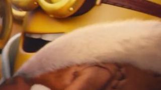 24. Миньоны (2015)