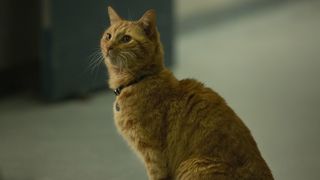 5. Капитан Марвел (2019)
