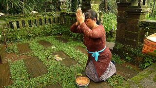 15. Жизнь за один день (2011)