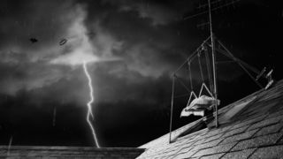 26. Франкенвини (2012)