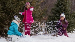 25. Здравствуй, папа, Новый год! 2 (2017)