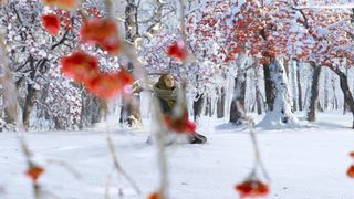 11. Легенда о Коловрате (2017)