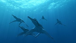 12. Чудища морей 3D: Доисторическое приключение (2007)