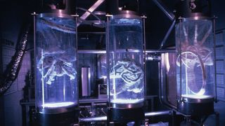 23. Чужие (1986)