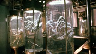 87. Чужие (1986)