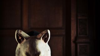 15. Тебе конец! (2013)