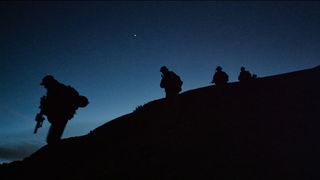 45. Уцелевший (2013)