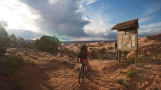 15. 127 часов (2010)