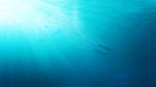 59. Стартрек: Возмездие (2013)