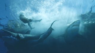 25. Кон-Тики (2012)