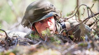 12. А зори здесь тихие... (2015)