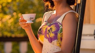 43. Дальняя дорога (2015)