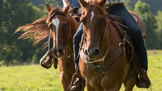 48. Дальняя дорога (2015)