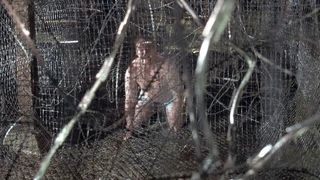 39. Пила: Игра на выживание (2004)