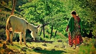 7. Иван сын Амира (2013)