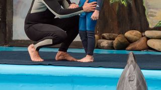 28. 8 лучших свиданий (2016)