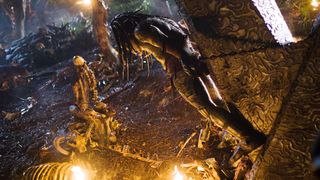 13. Хищники (2010)