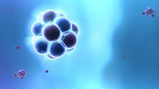 52. Discovery: Как устроена Вселенная (2010)